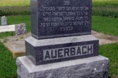 auerbachisraeltsdetail